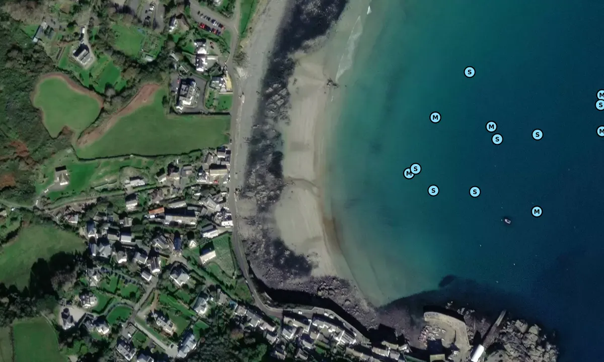 Satelite image of Coverack Bay