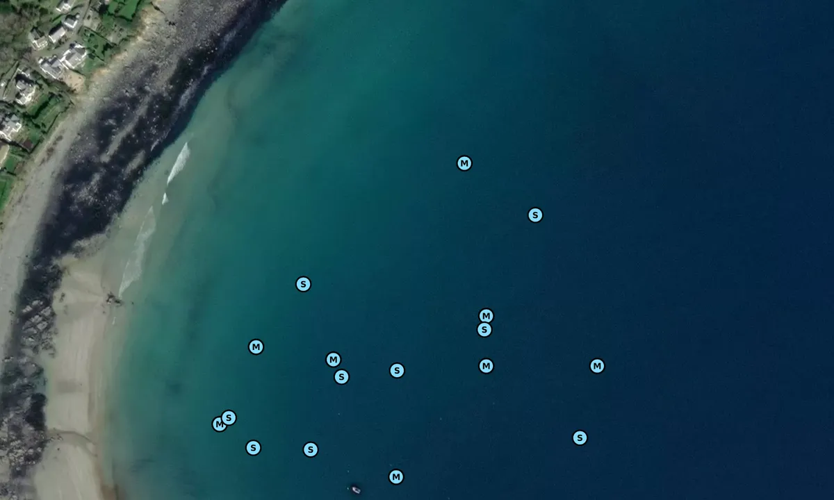 Satelite image of Coverack Cove