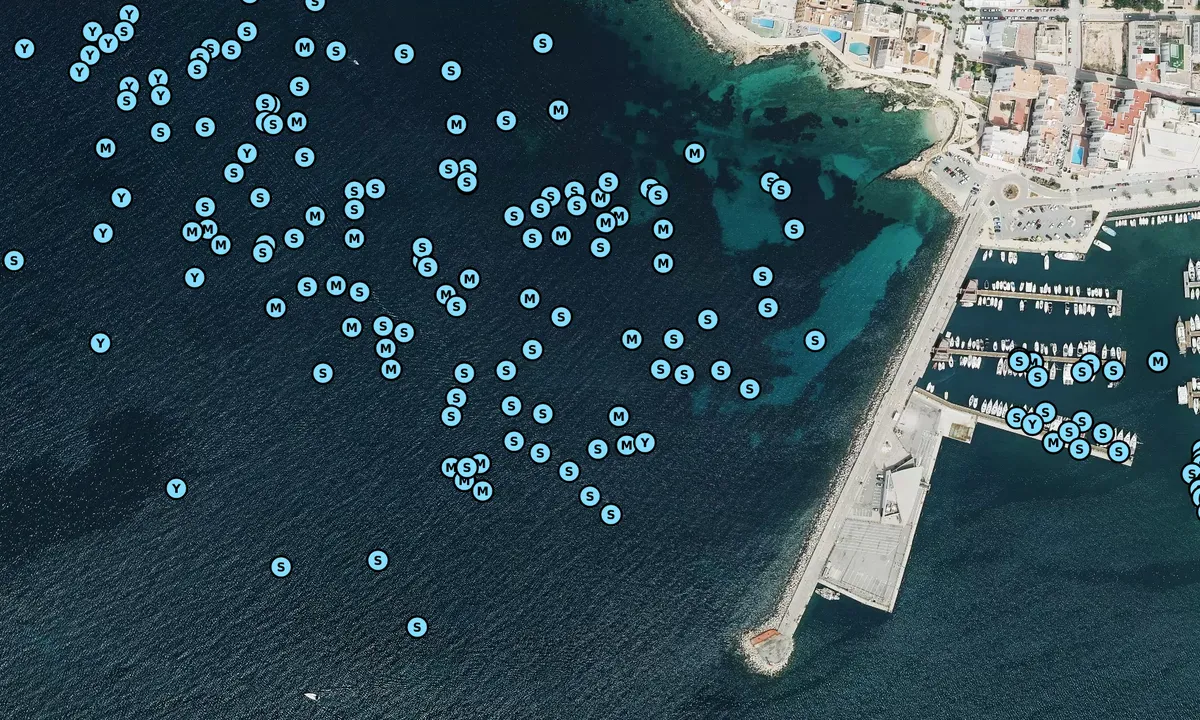 Satelite image of Coves Blanques