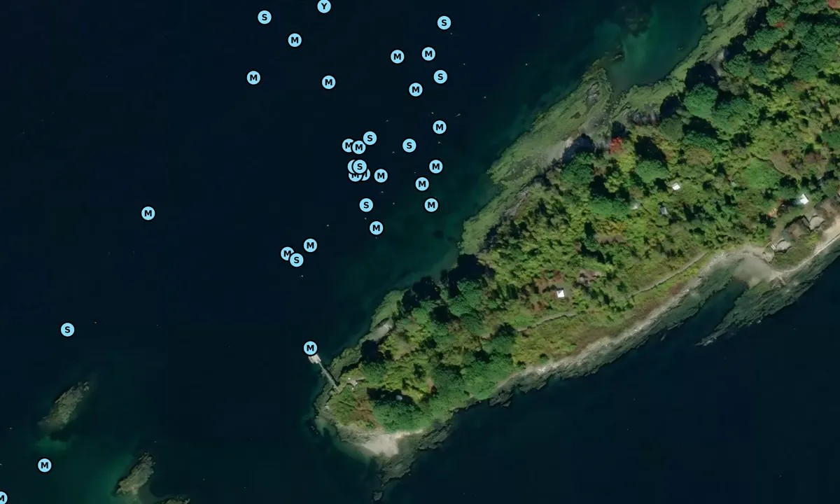 Satelite image of Cow Island