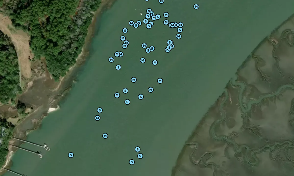 Satelite image of Cowen Creek - 1