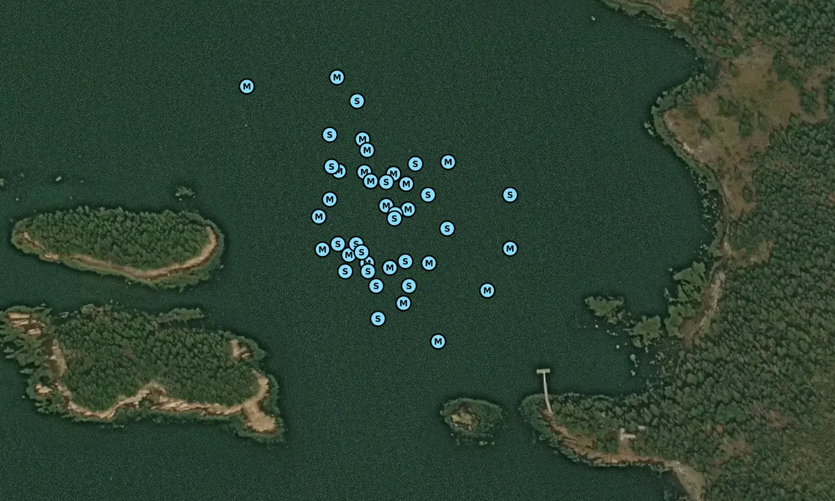 Satelite image of Cows Yard