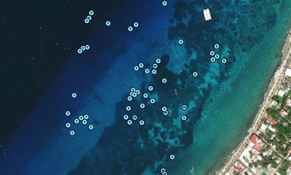 Satelite image of Cozumel