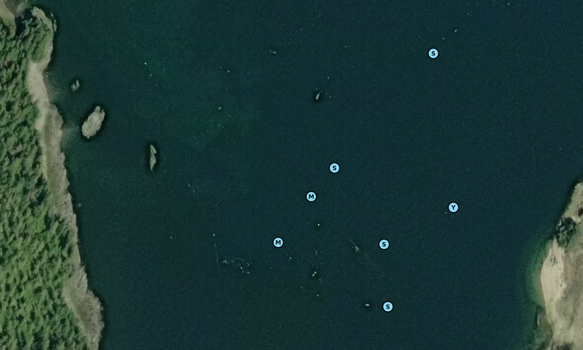 Satelite image of Crab Bay 1