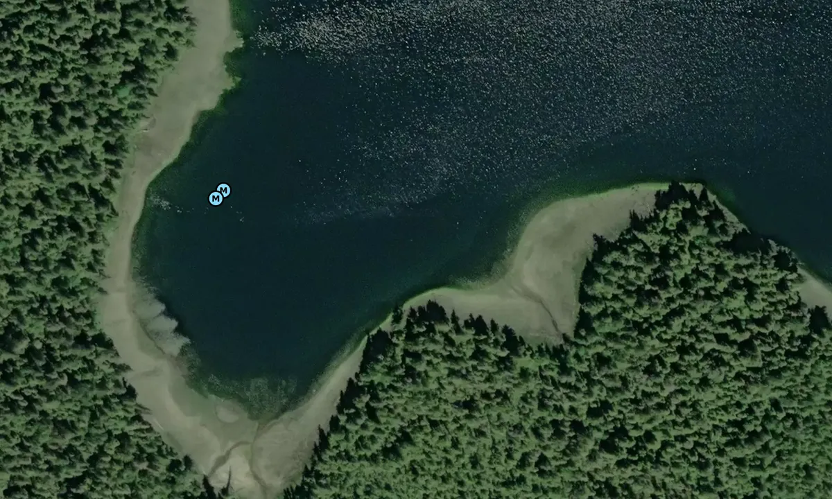 Satelite image of Crab Trap Cove