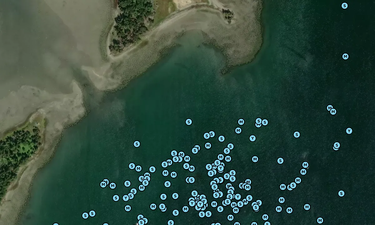 Satelite image of Cradle Cove