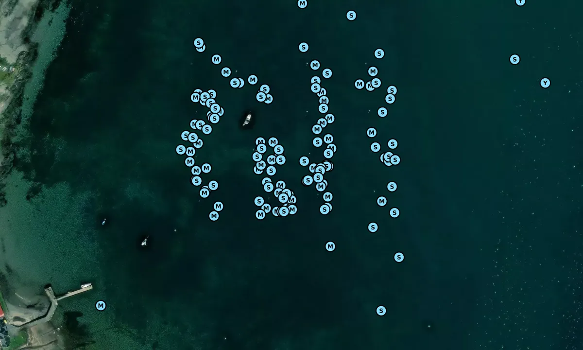 Satelite image of Craighouse