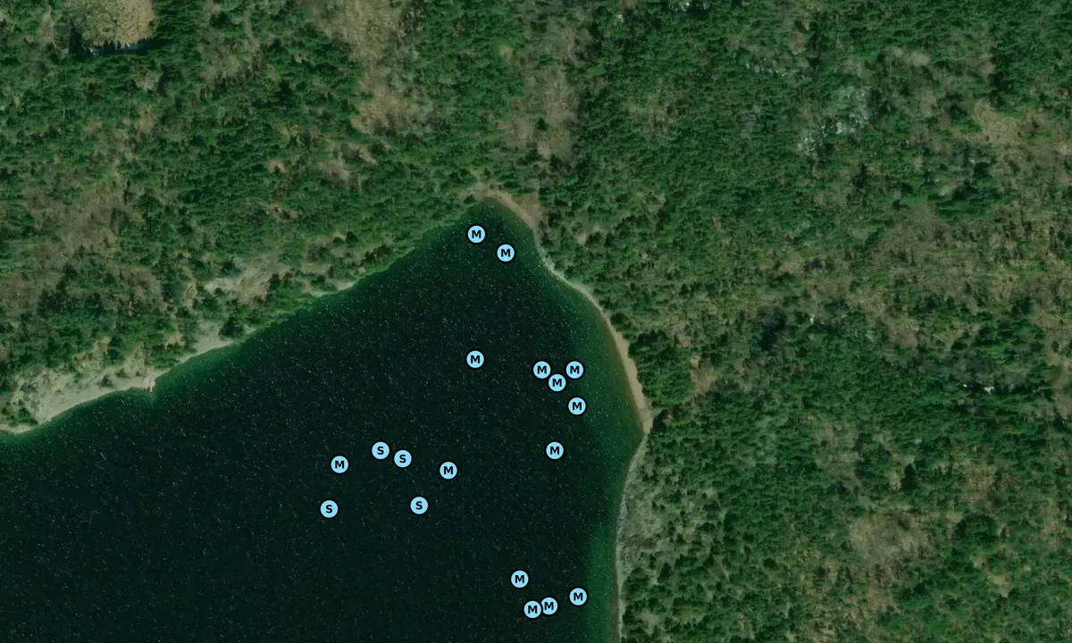 Satelite image of Crocker beach