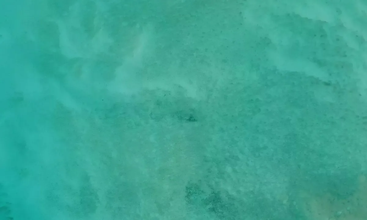 Satelite image of Cross Harbour