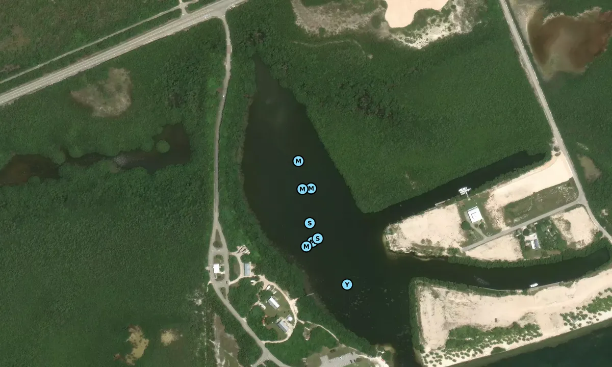 Satelite image of Curry Hammock