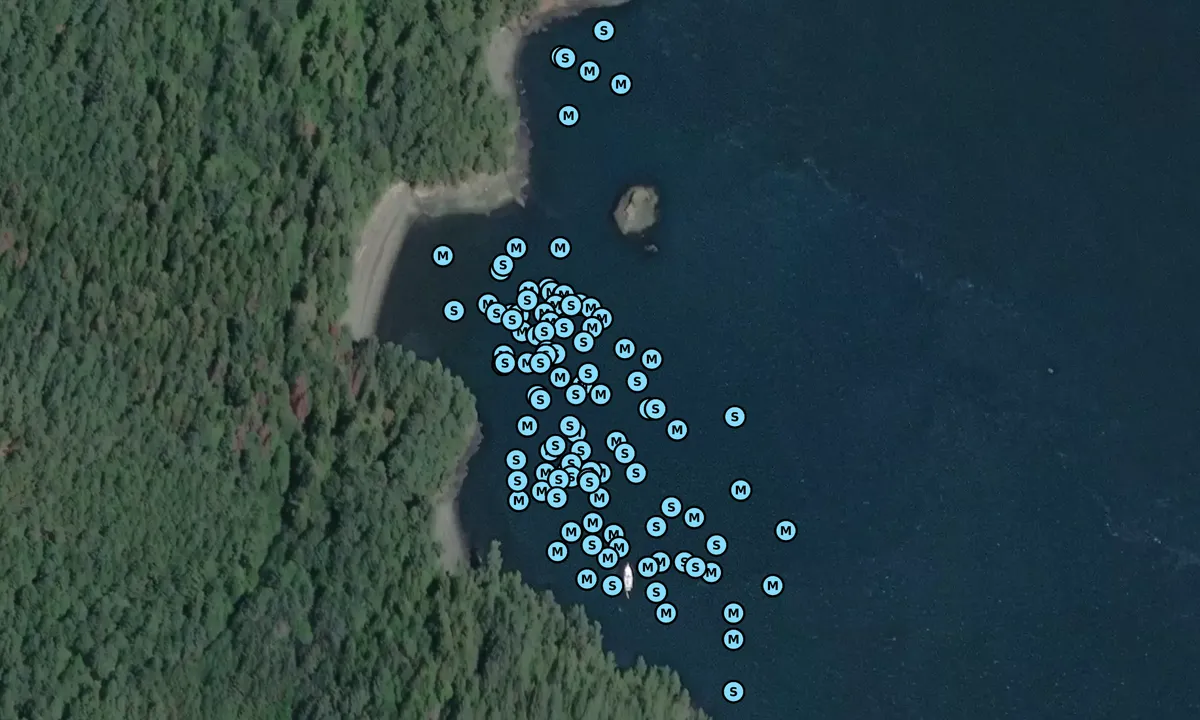 Satelite image of Cypress Island - Elephant Rock