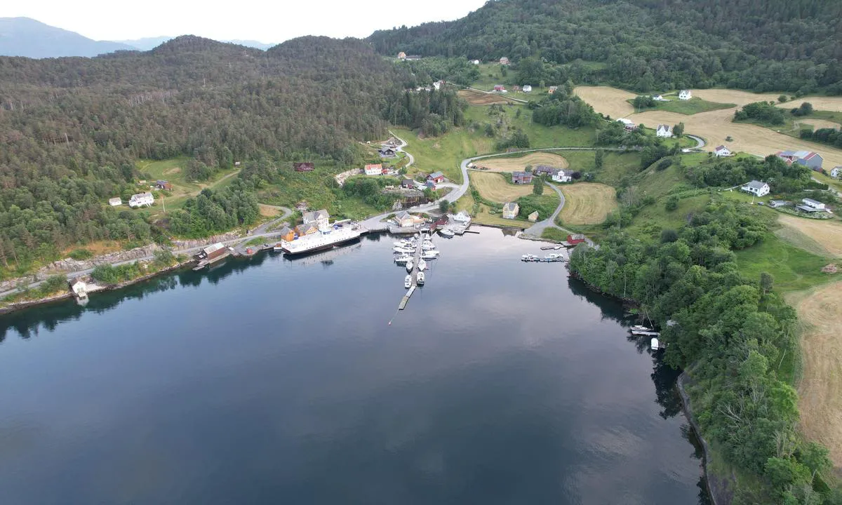 Dalavika