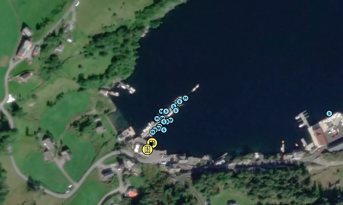 Satelite image of Dalavika