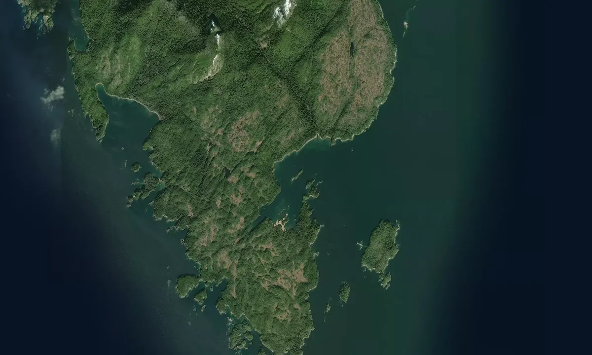 Flyfoto av Dall Bay - Central