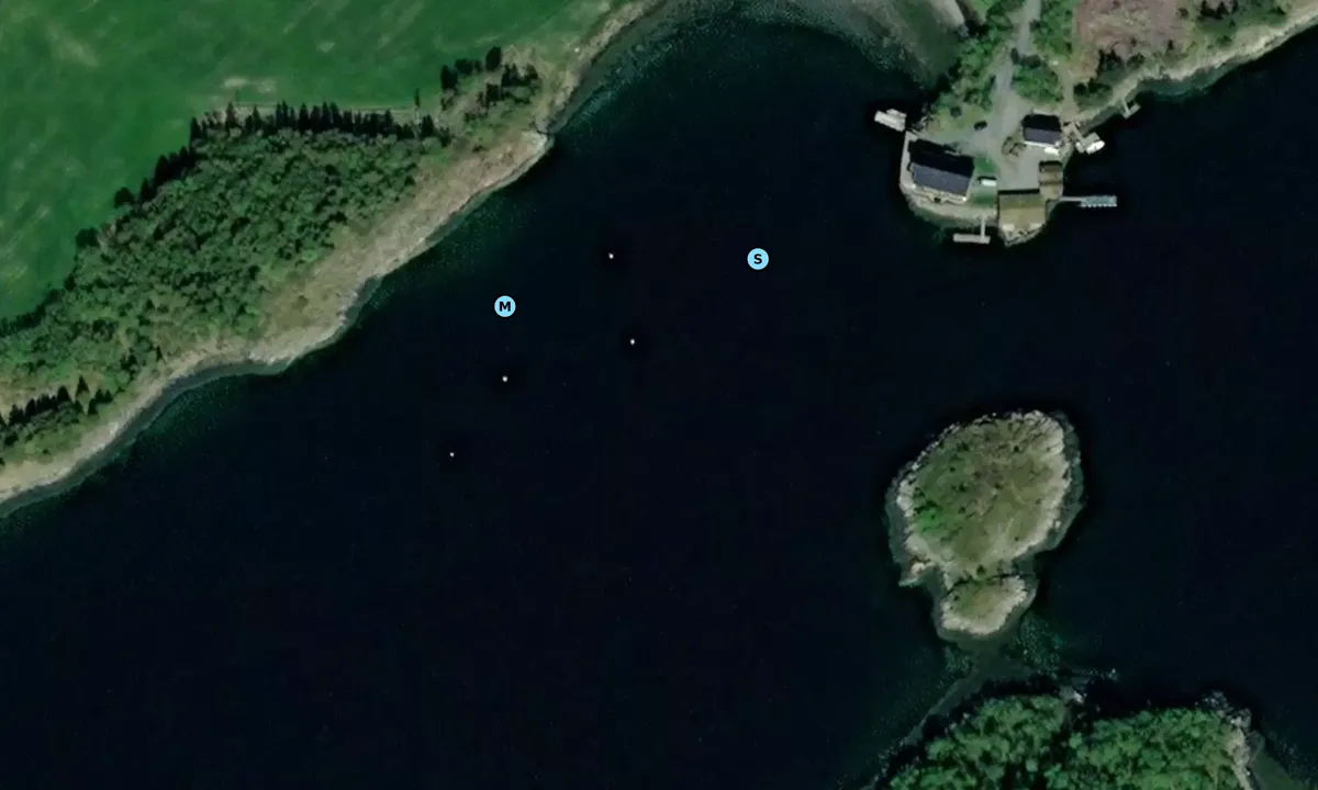 Satelite image of Dalsvågen
