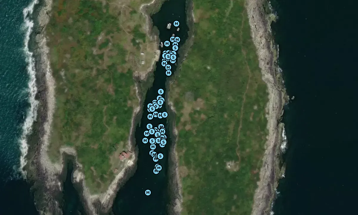 Satelite image of Damariscove Island