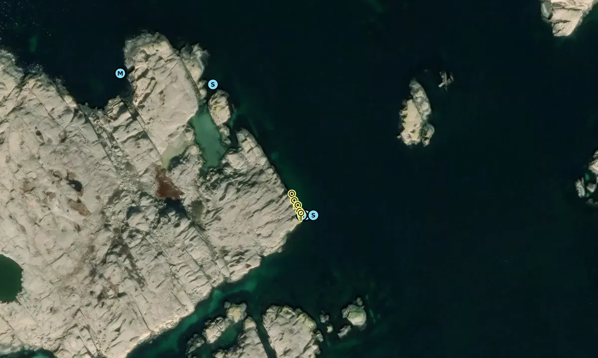 Satelite image of Dammholmen