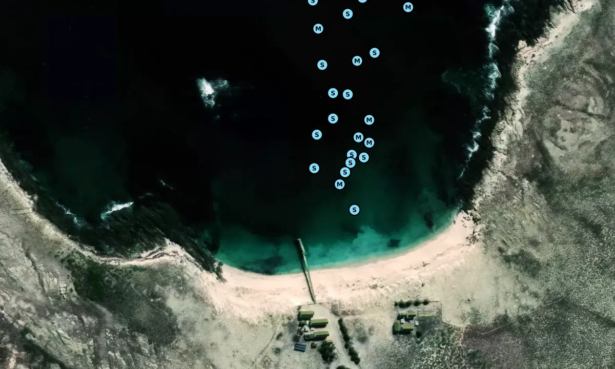 Satelite image of Dassen Island