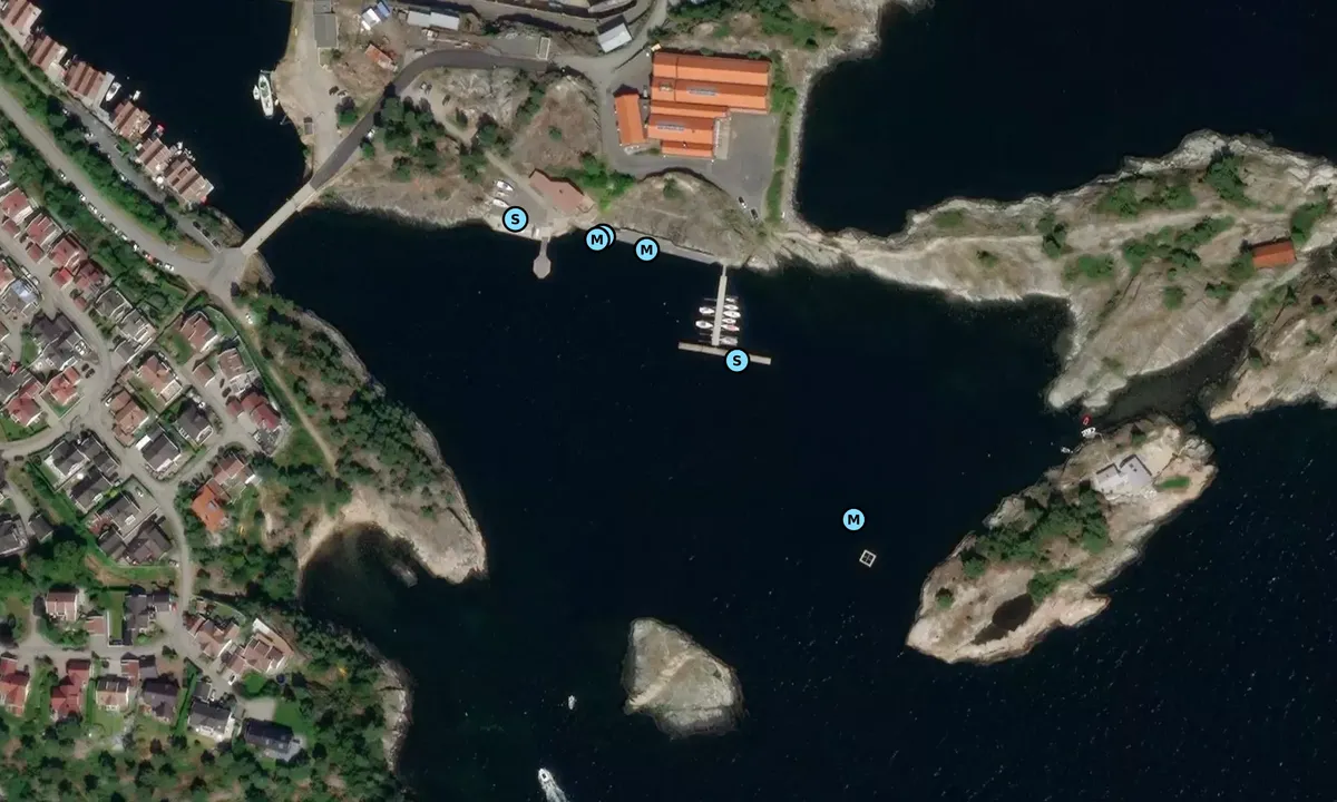 Satelite image of Daudmannsholmen
