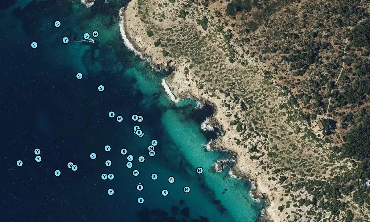 Satelite image of Davallador de Sa Cisterna