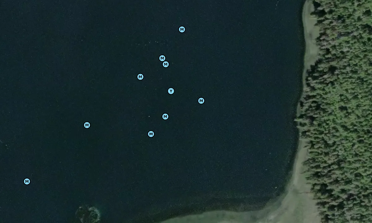 Satelite image of De Groff Bay