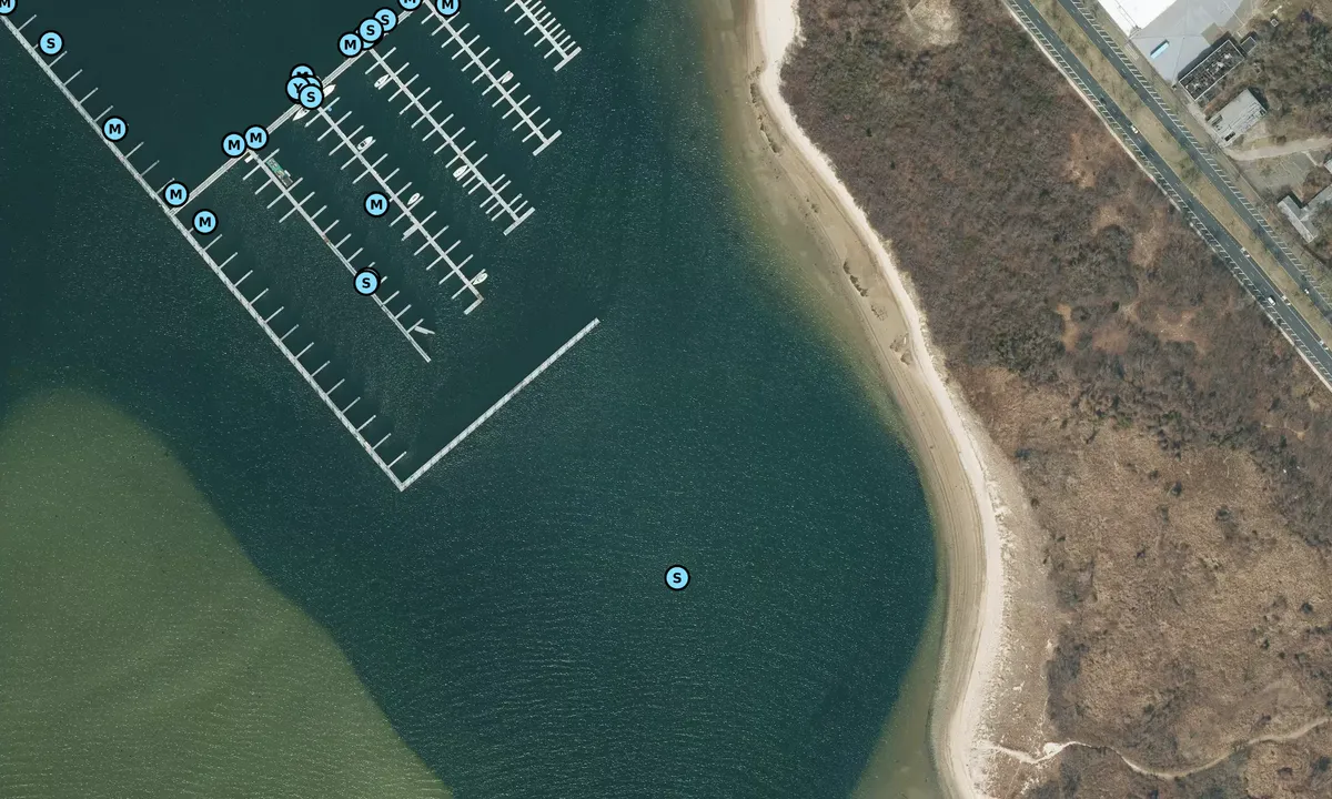 Satelite image of Dead Horse Bay