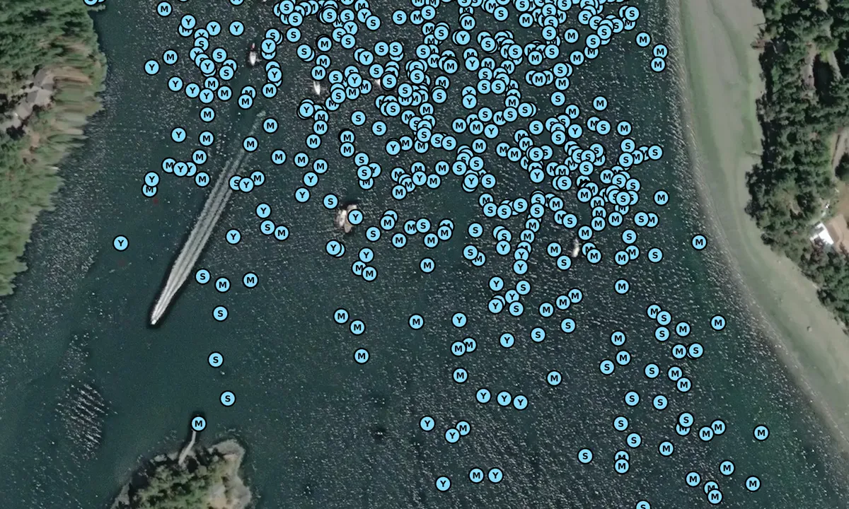 Satelite image of Deer Harbor