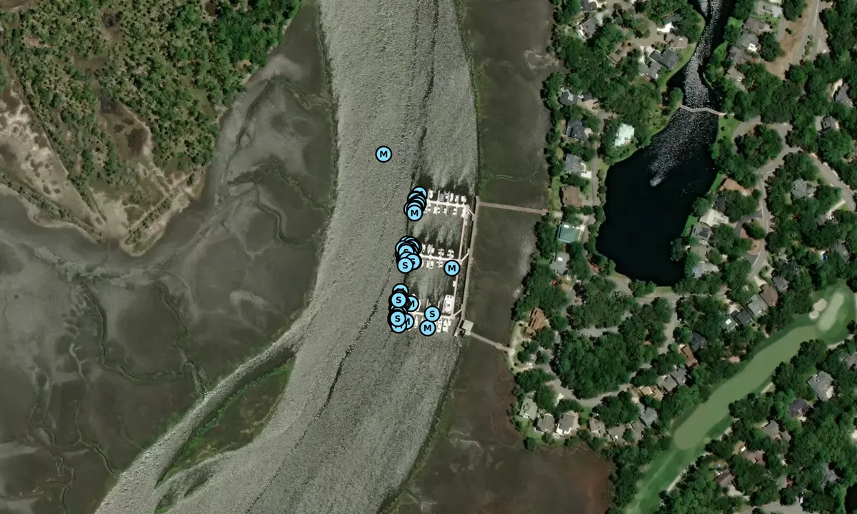 Satelite image of Delegal Creek Marina - Skidaway Island