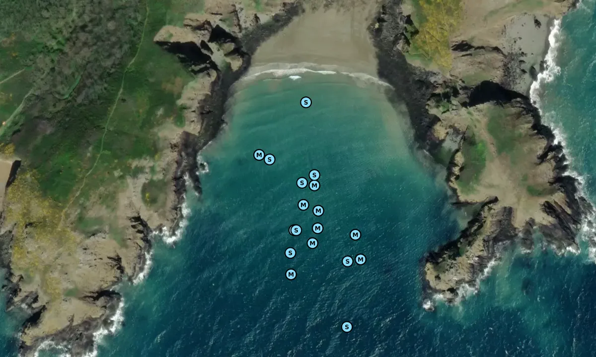 Satelite image of Derrible Bay