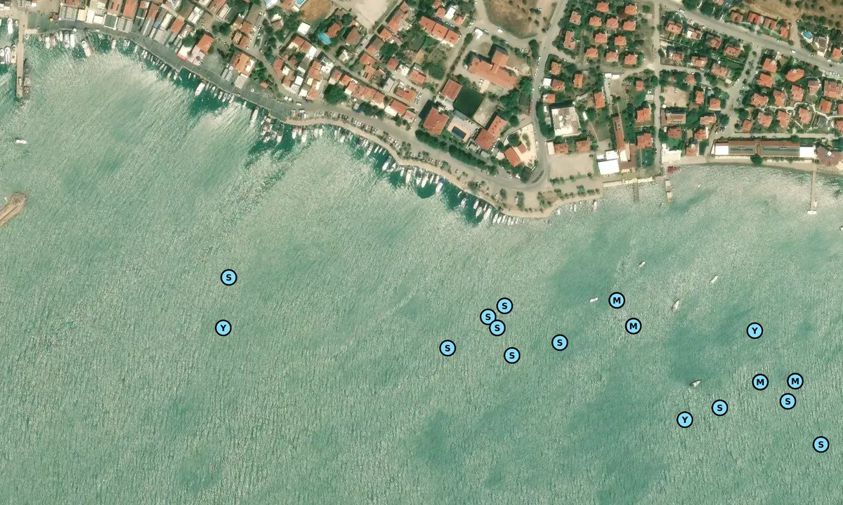 Satelite image of Despot'un Evi