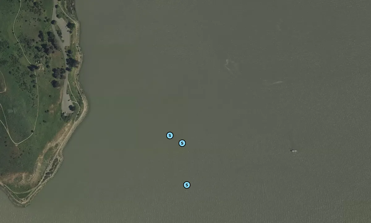 Satelite image of Dillon Point