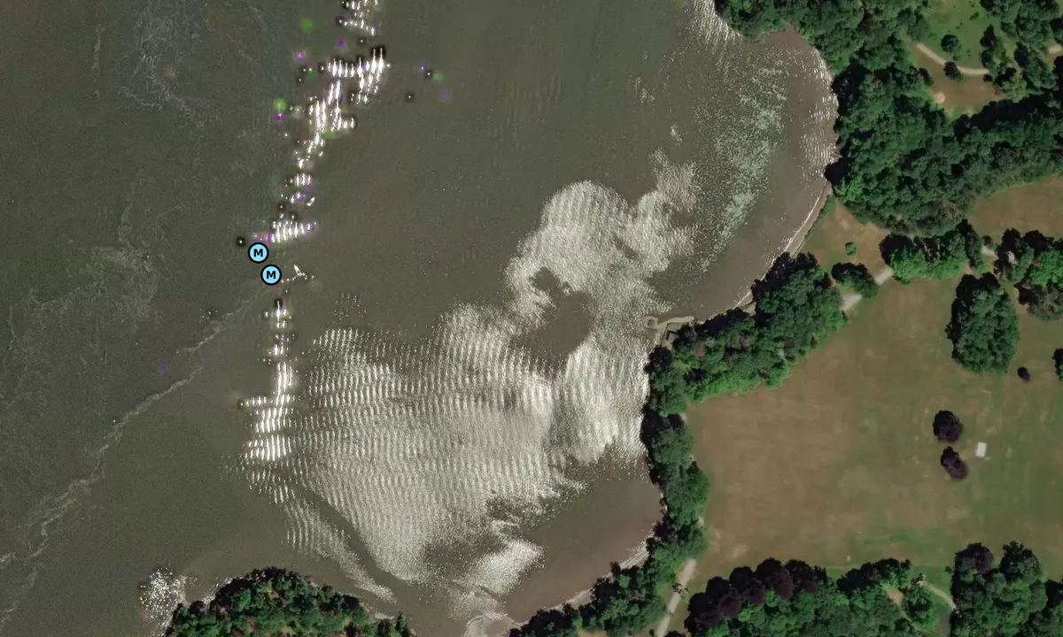Satelite image of Dinsmore Pt