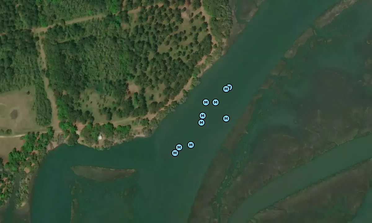 Satelite image of Distant Island Creek - 2