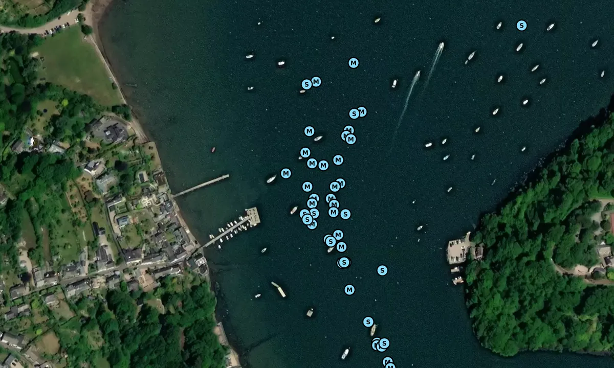 Satelite image of Dittisham Visitor Buoys
