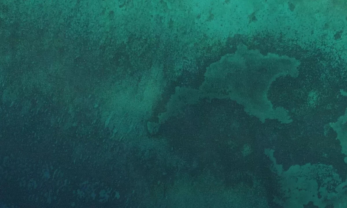 Satelite image of dive