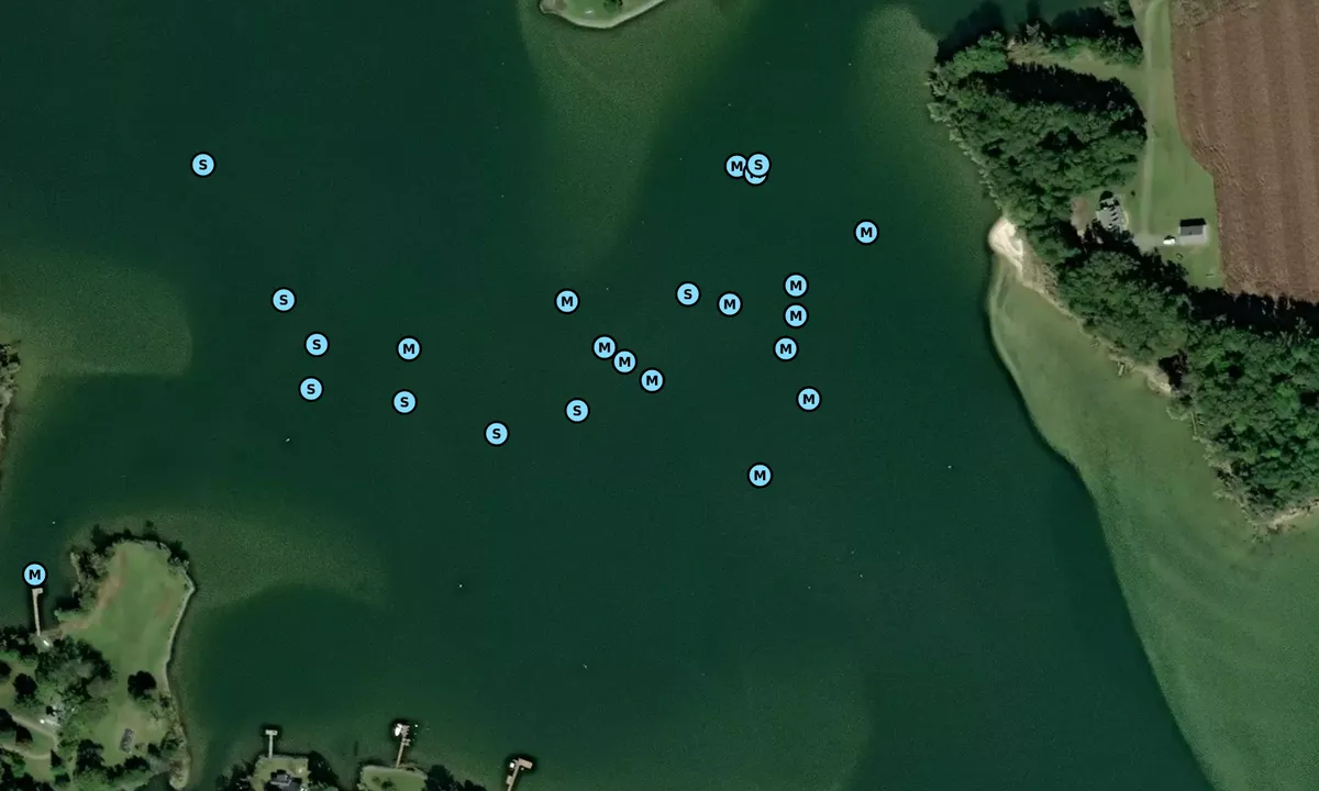 Satelite image of Dividing Creek - 1 - Ditchley
