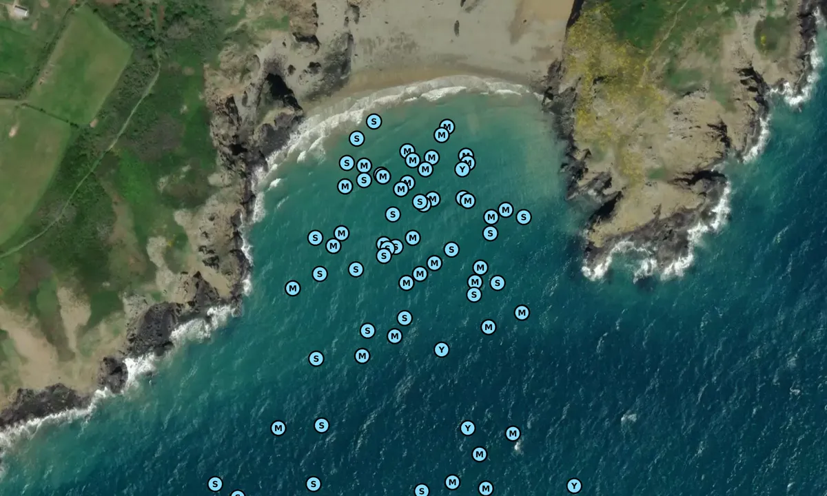 Satelite image of Dixcart Bay