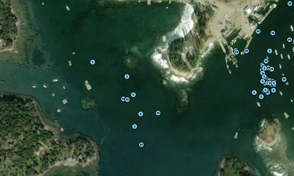 Satelite image of Dodge Point