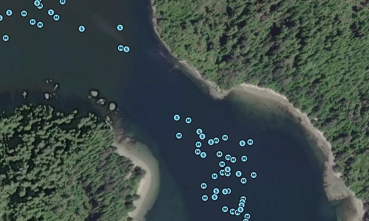 Satelite image of Dodger Passage