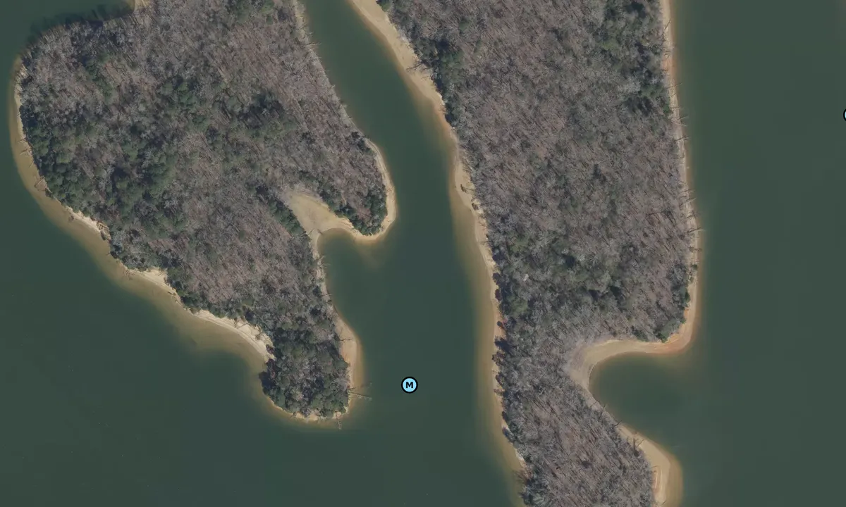 Satelite image of Dog Leg Slough