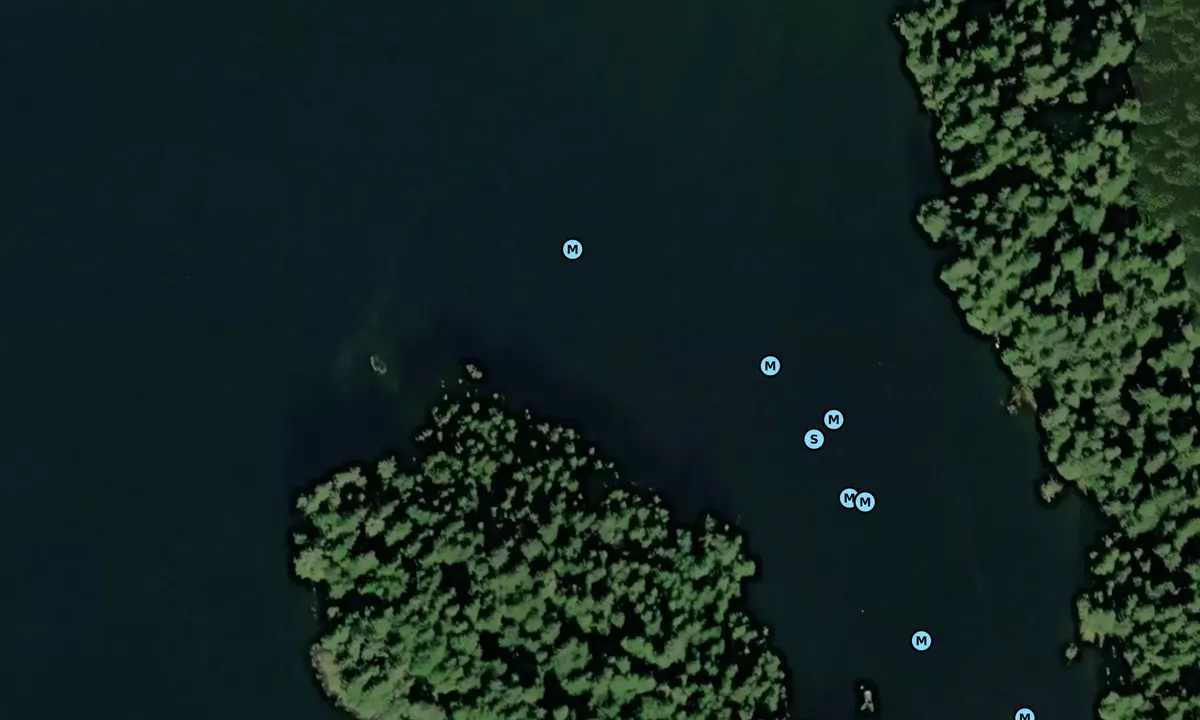 Satelite image of Dogfish Island