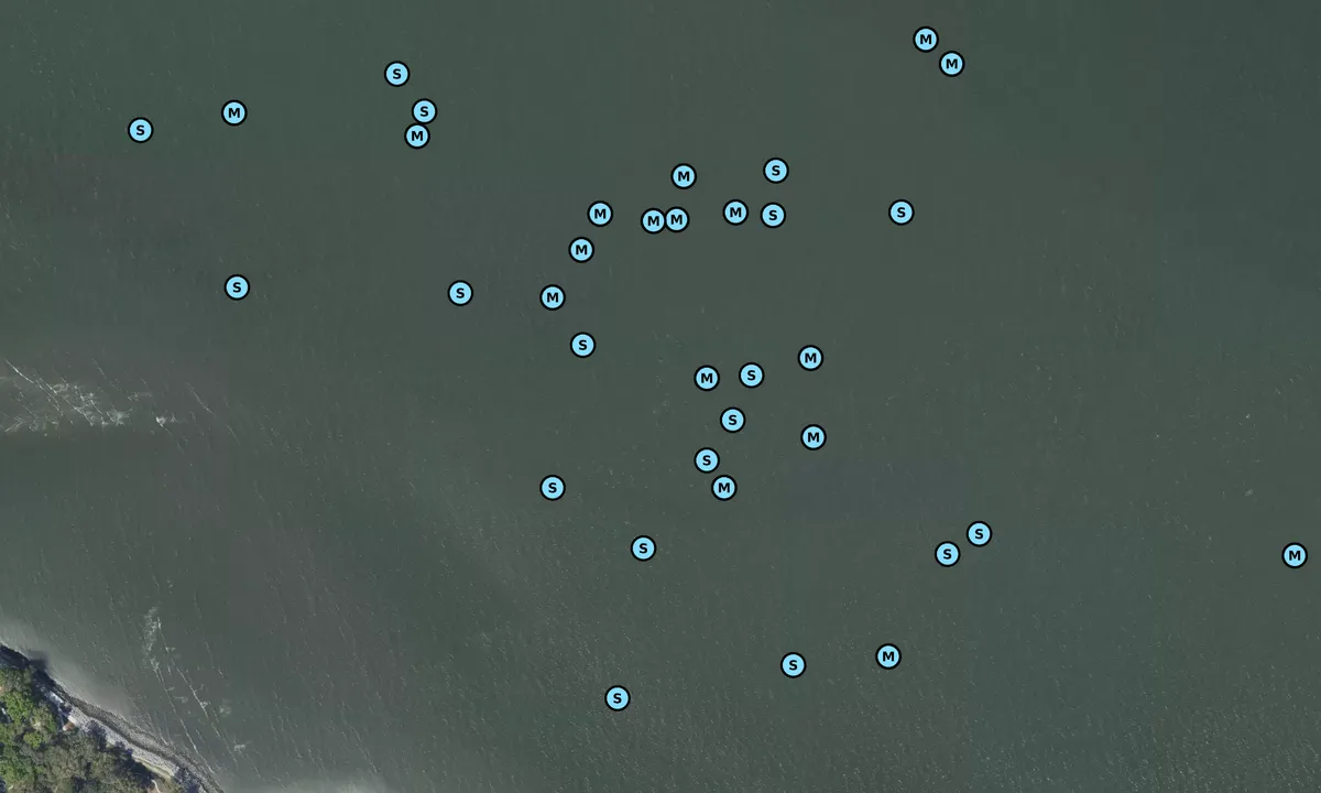 Satelite image of Dolphin Head