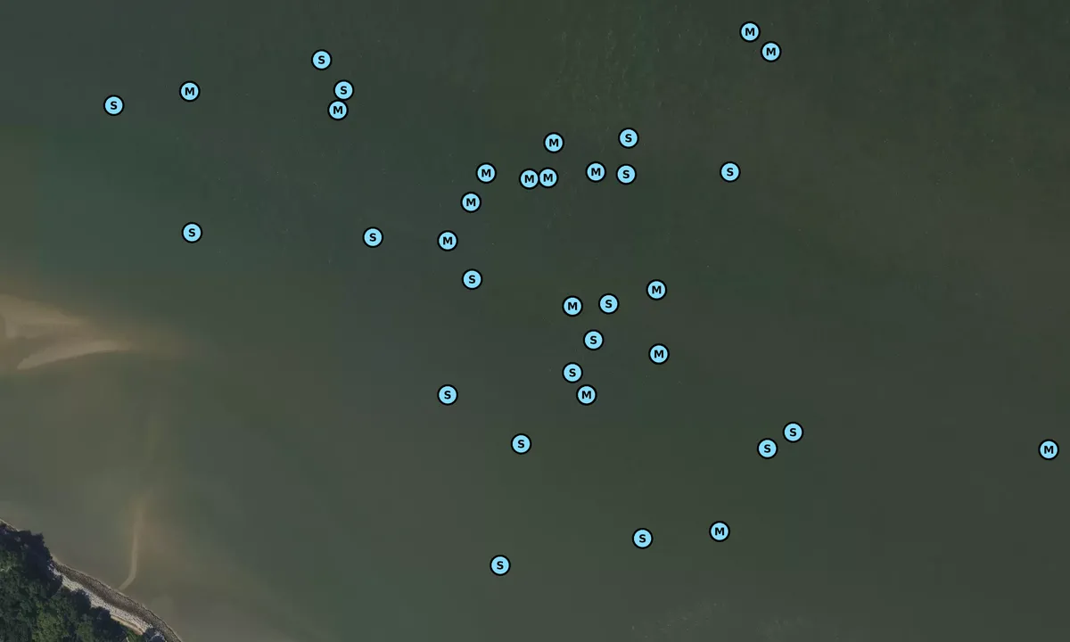 Satelite image of Dolphin Head