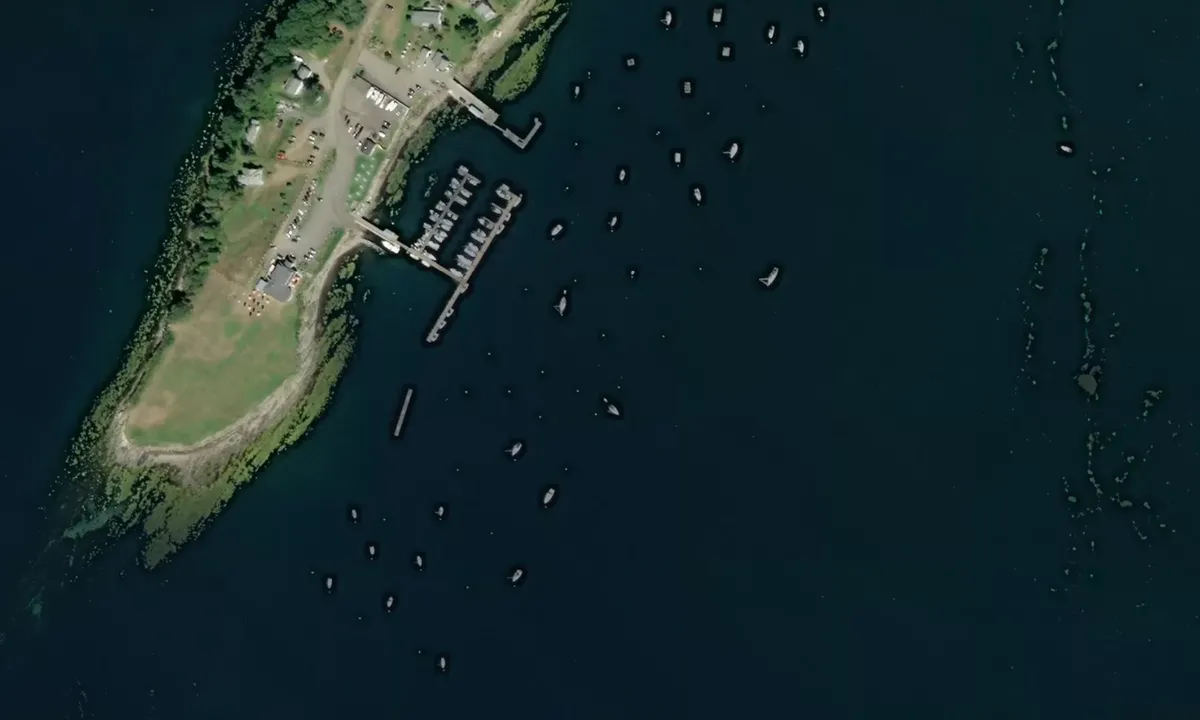 Flyfoto av Dolphin Marina Anchorage