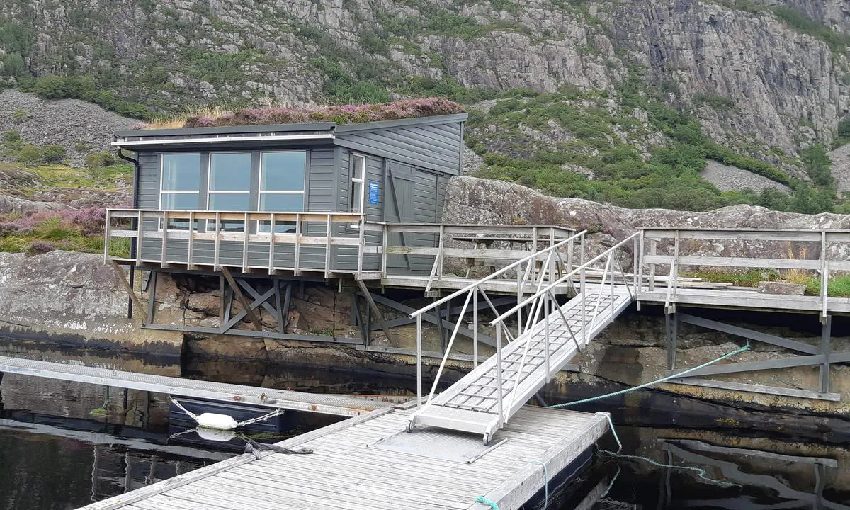 Domba på Hovden - Spongavågen: Hytta og landgangen.