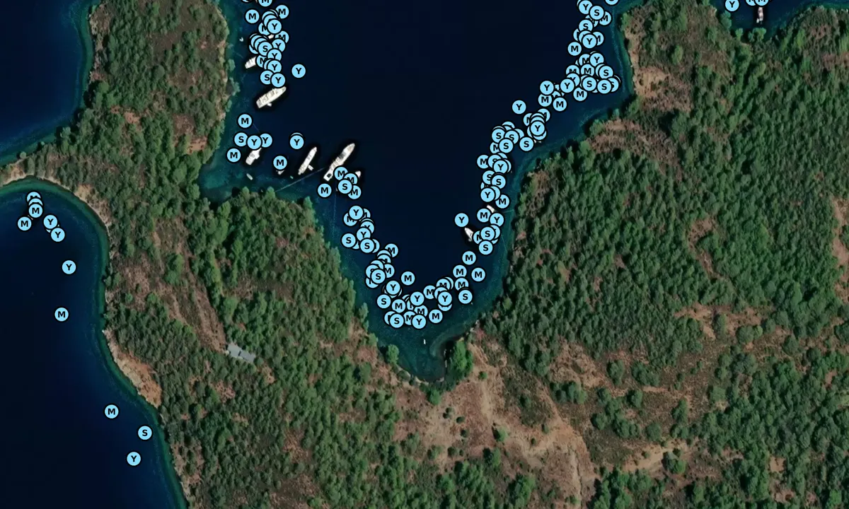 Satelite image of Domuz Adasi