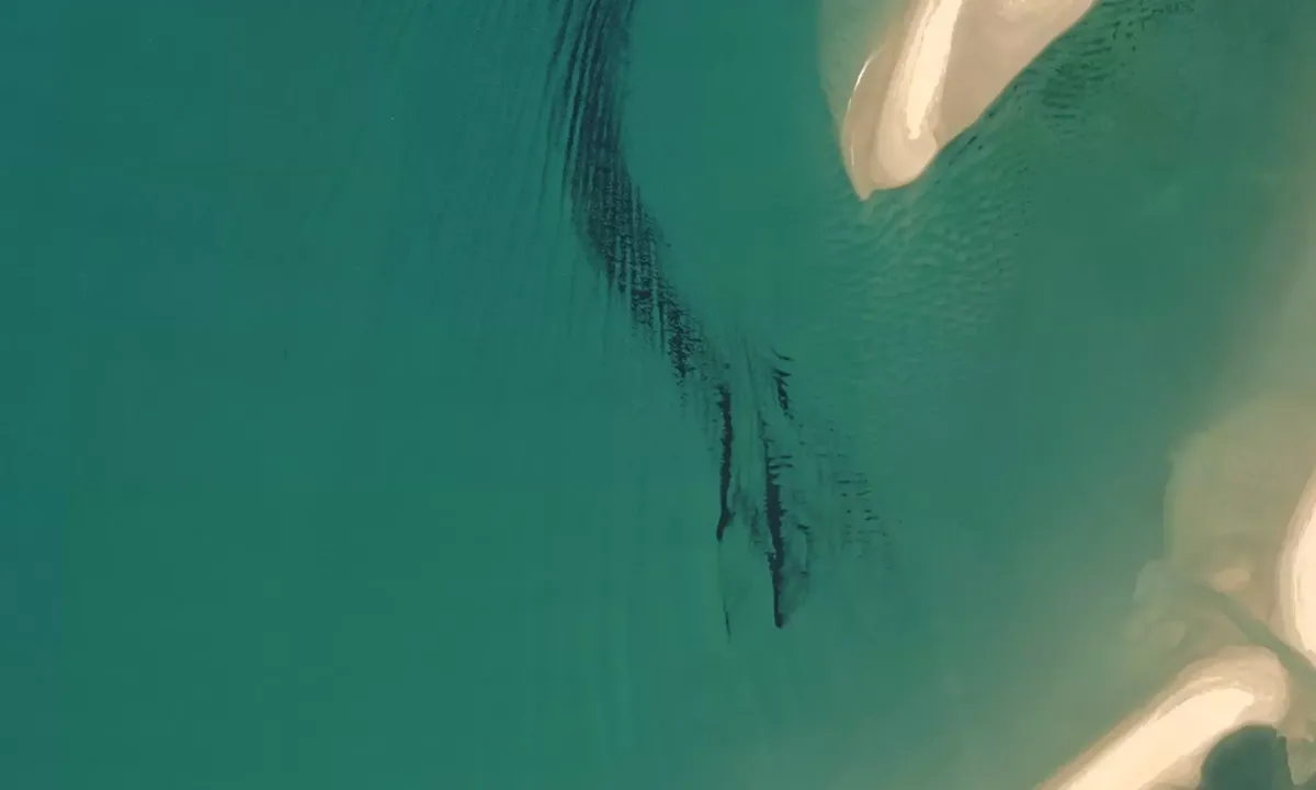 Flyfoto av Double island point sand bank