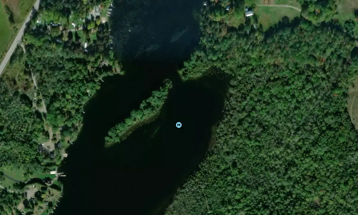 Satelite image of Douglas Island