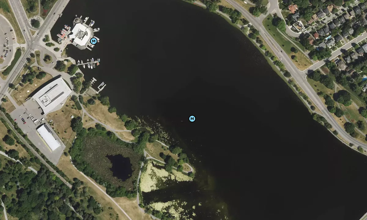 Satelite image of Dows Lake