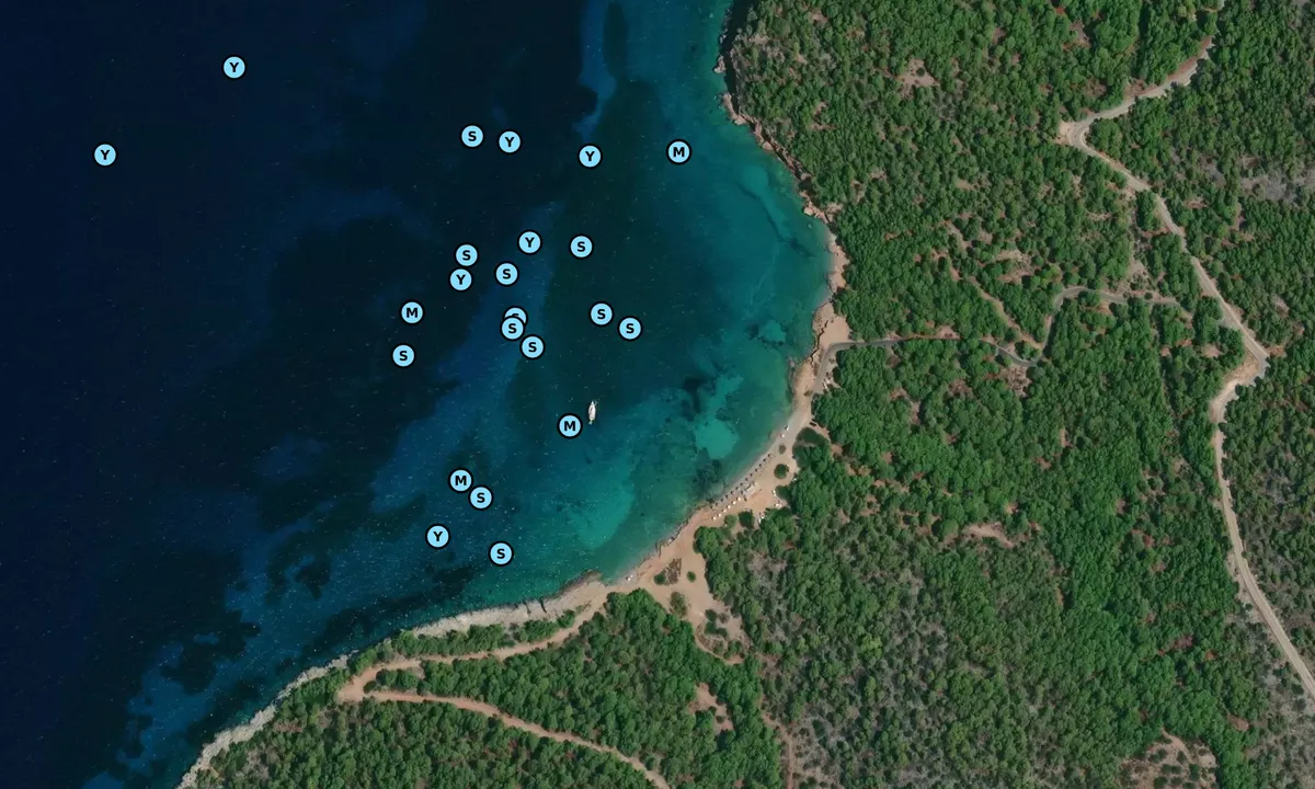 Satelite image of Dragonera Beach